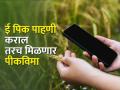 ई-पीक पाहणी नोंदणीची अंतिम मुदत १५ ऑक्टोबर - Marathi News | Last date for e-Peak pahani inspection registration is 15th October | Latest agriculture News at Lokmat.com