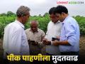 Pik Pahani : शेतकऱ्यांना दिलासा, पीक पाहणीची मुदत वाढवली, आता 'या' तारखेपर्यंत करा  - Marathi News | Latest News Pik Pahani Relief for farmers, crop inspection deadline extended till 31 october | Latest agriculture News at Lokmat.com