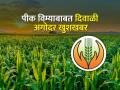 दिवाळीपूर्वी पीक विम्याचा अग्रीम शेतकऱ्यांच्या खात्यात - Marathi News | Crop insurance advance in farmers account before Diwali | Latest agriculture News at Lokmat.com