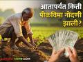 Crop Insurance : तुमच्या जिल्ह्यातील किती शेतकऱ्यांनी भरला पीकविमा अर्ज, वाचा सविस्तर  - Marathi News | Latest News PM Fasal Yojna 2 lakh 67 thousand 303 farmers registered crop insurance applications in 24 hours | Latest agriculture News at Lokmat.com
