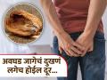 १० दिवसात पाइल्सची समस्य दूर करेल नारळाच्या शेंड्या, आयुर्वेद डॉक्टरांचा एक नॅचरल उपाय! - Marathi News | Ayurveda doctor shares home remedy for get relief from piles in 10 days | Latest health News at Lokmat.com