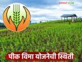 Pik Vima Yojana : शेतकऱ्यांनी घरातून पैसे भरले, पीक विमा योजनेत सहभागी झाले, वाचा सविस्तर  - Marathi News | Latest news Pik Vima yojana Four lakh 58 thousand farmers of Nashik district participate in crop insurance scheme | Latest agriculture News at Lokmat.com