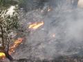 नाल्यातील कचऱ्याला मोठी आग; पिंपरी चिंचवड शाहूनगरमधील प्रकार - Marathi News | A big fire in the drain; incident in Shahu nagar, Pimpri Chinchwad | Latest pimpri-chinchwad News at Lokmat.com