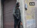 Pulwama Terror Attack : जवानांनी बदला घेतला; 'जैश'च्या दोन कमांडर्ससह 6 दहशतवाद्यांचा खात्मा - Marathi News | Pulwama Terror Attack : mastermind Jaish-e-Mohammed terrorist Kamran killed | Latest national News at Lokmat.com