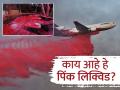 काय आहे हे गुलाबी पावडर जे विमानानं अमेरिकेतील जंगलात आग विझवण्यासाठी वापरलं गेलं? - Marathi News | What is this pink powder that is being used to put out forest fires in America? | Latest jarahatke Photos at Lokmat.com