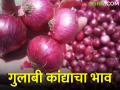 गुलाबी कांद्याचे भावात घसरण; नगरला कसा सुरु आहे कांदा बाजारभाव - Marathi News | Fall in price of pink onion; How is the onion market price going in the nagar? | Latest agriculture News at Lokmat.com