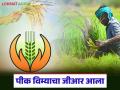 राज्यात 'या' जिल्ह्यातील शेतकऱ्यांना २०२० च्या खरीप पीक विम्याचे पैसे मिळणार; शासन निर्णय जारी - Marathi News | Farmers in 'this' district in the state will get 2020 Kharif crop insurance money; Government decision issued | Latest agriculture News at Lokmat.com
