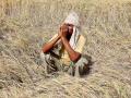 'तब्बल' 2 रुपयांचा पीक विमा; कर्नाटकातील शेतकऱ्याला आला चेक - Marathi News | Crop Insurance of Rs. 2 ; The farmer in Karnataka got the check | Latest national News at Lokmat.com