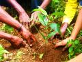  ग्लोबल वार्मिंगवर विजय मिळविण्यासाठी सरसावली ग्रीन ब्रिगेड - Marathi News | Green Brigade to win Global Warming | Latest akola News at Lokmat.com