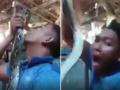Viral Video: सापासोबत खेळण्यासारखा खेळत होता मुलगा, दुसऱ्याच क्षणी खेळ आला अंगाशी - Marathi News | boy playing with snake gets bite from snake shocking video goes viral on internet | Latest social-viral News at Lokmat.com