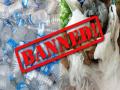 प्लास्टिकबंदी मोहिमेची अंमलबजावणी करायची कशी? - Marathi News | How to Implement a Plastic Ban Campaign? | Latest thane News at Lokmat.com