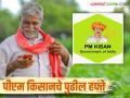 PM Kisan Hafta : पीएम किसानचा 20 आणि 21 वा हफ्ता 'या' महिन्यात येण्याची शक्यता, वाचा सविस्तर  - Marathi News | Latest news PM Kisan Yojana PM Kisan's 20th and 21st weeks are come June or October 2025, read in detail | Latest agriculture News at Lokmat.com