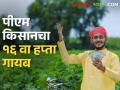 पीएम किसान; पंतप्रधानांचा आला थेट मेसेज, खात्यात मात्र काहीच नाही - Marathi News | PM Kisan; Prime Minister's direct message came, but there is nothing in the account | Latest agriculture News at Lokmat.com