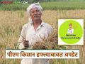 PM Kisan : पीएम किसानचा 20 वा हफ्ता कधी येणार? पेंडिंग हफ्त्यांचे काय? वाचा सविस्तर  - Marathi News | Latest News PM Kisan 20th installment of PM Kisan come and pending installments Read in detail | Latest agriculture News at Lokmat.com