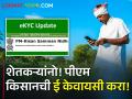 शेतकऱ्यांनो! पीएम किसानची ई केवायसी करा! अनेक शेतकरी वंचित  - Marathi News | Latest News How to do PM Kisan e KYC? Know the complete process | Latest agriculture News at Lokmat.com