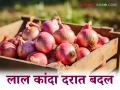 Kanda Market Update : लाल कांदा दरात काहीसा दिलासा, सोलापूर, लासलगाव बाजारात काय भाव मिळाला?   - Marathi News | Latest News kanda market update Some relief in red onion prices see todays kanda bajarbhav | Latest agriculture News at Lokmat.com
