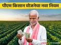 PM Kisan Yojna : २०१९ नंतर शेती नावावर केलेल्या शेतकऱ्यांना मिळणार का? पीएम किसानचा लाभ.. वाचा सविस्तर - Marathi News | PM Kisan Yojna : After 2019, will the farmers doing agriculture in the name of PM Kisan get the benefit.. read in detail | Latest agriculture News at Lokmat.com