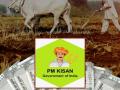 शेतकऱ्यांची प्रतीक्षा संपणार! पीएम किसानचा २१वा हप्ता नोव्हेंबरमध्ये जमा होणार? खात्यात येणार २,००० रुपये - Marathi News | | Latest business News at Lokmat.com