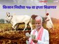 PM Kisan Samman Nidhi पी एम किसान योजनेचा १७ व्या हप्त्याचा लाभ लवकरच शेतकऱ्यांच्या खात्यावर - Marathi News | PM Kisan Samman Nidhi; Benefit of 17th installment of PM Kisan Yojana to farmers account soon | Latest agriculture News at Lokmat.com