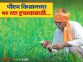 PM Kisan ekyc : पीएम किसानचा 19 वा हफ्ता मिळण्यासाठी 'ही' गोष्ट कराच.. वाचा सविस्तर  - Marathi News | Latest News PM Kisan ekyc Do ekyc to get 19th installment of PM Kisan scheme Read in detail | Latest agriculture News at Lokmat.com