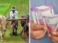 PM Kisan चे आणखी ४३०० खातेदार अपात्र, दुसऱ्या हप्त्याला विलंब - Marathi News | PM Kisan Another 4300 disqualified account holders in Kolhapur | Latest kolhapur News at Lokmat.com