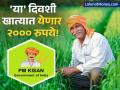 PM किसानचा २१वा हप्ता कधी येणार? मोठी अपडेट समोर! 'या' शेतकऱ्यांना मिळणार नाहीत २००० रुपये - Marathi News | PM-KISAN 21st Installment Expected This Week: Check Eligibility and E-KYC Status Now. | Latest business News at Lokmat.com
