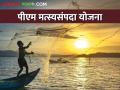 एकच योजना, अनेकांना रोजगार, पीएम मत्स्यसंपदा योजना लाभ घेतला का?  - Marathi News | Latest News central scheme PM Matsya Sampada Yojana see details | Latest agriculture News at Lokmat.com