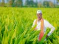 PM Kisan FPO Yojana: काय सांगताय! मोदी सरकार देतेय 15 लाख रुपये; असा करा अर्ज - Marathi News | PM Kisan FPO Yojana: Modi government giving Rs15 lakh; How To Apply PM Kisan FPO Yojana Online | Latest national Photos at Lokmat.com