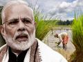 PM KISAN Yojana: शेतकऱ्यांसाठी आनंदाची बातमी; पीएम किसान योजनेचा आठवा हप्ता आज मिळणार - Marathi News | Good news for farmers; PM Kisan Samman Nidhi 8th installment, 2000 rs will announced by Narendra Modi today | Latest national News at Lokmat.com