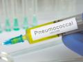न्युमोकोकल लस रोखणार बालमृत्यू - Marathi News | Pneumococcal vaccine will prevent infant mortality | Latest akola News at Lokmat.com