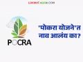POCRA Yojana :'पोकरा'त 'या' जिल्ह्यात ८६० शेतकऱ्यांची निवड; अनुदान वाटप सुरू वाचा सविस्तर - Marathi News | latest news POCRA Yojana: 860 farmers selected in 'POCRA' district; Grant distribution begins Read in detail | Latest agriculture News at Lokmat.com