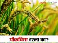 Pikvima: १ कोटी १० लाख शेतकऱ्यांनी भरला पिक विमा, उरले शेवटचे तीन दिवस - Marathi News | Pikvima: 1 crore 10 lakh farmers paid crop insurance, last three days left for application | Latest agriculture News at Lokmat.com