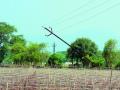 चार दिवसांपासून जोरदार पाऊस होत असल्याने शेतकरी चिंतित - Marathi News | Farmers concerned because of heavy rains for four days | Latest nashik News at Lokmat.com
