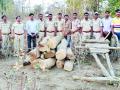 ८० हजारांचे अवैध सागवान जप्त - Marathi News | 80 thousand illegal sewen seized | Latest nanded News at Lokmat.com