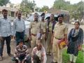 काळविटाची शिकार करणाऱ्या दोन आरोपींना वन कोठडी - Marathi News | Forest cell for two accused of blackwhoe hunting | Latest chhatrapati-sambhajinagar News at Lokmat.com