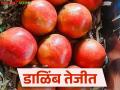 Dalimb Market : बारामती बाजारात डाळिंबाची मोठी आवक किलोला मिळाला असा दर - Marathi News | Dalimb Market: How much the price of pomegranates received per kg in Baramati market | Latest agriculture News at Lokmat.com