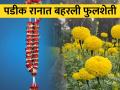 मालगुंड येथील पूजा जाधव यांचे एकात्मिक शेतीमधील विविध प्रयोग - Marathi News | Various Experiments in Integrated Farming by Pooja Jadhav from Malgund | Latest agriculture News at Lokmat.com
