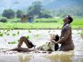 कपलचं हे Post Wedding Shoot पाहून लोकांची बोलती झाली बंद, का ते तुम्हीच बघा.... - Marathi News | This post wedding shoot in mud goes viral on social media | Latest social-viral News at Lokmat.com