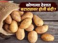 'या' देशात बटाट्यांवर लोकांनी टाकला होता बहिष्कार, सरकारने शेतीवर घालती होती बंदी; कारण फारच विचित्र - Marathi News | In this country, people boycotted potatoes, the government banned agriculture know the reason | Latest jarahatke News at Lokmat.com