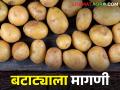 बटाट्याचे पदार्थ तयार करण्यासाठी लगबग; मागणी वाढली.. कसा मिळतोय बाजारभाव - Marathi News | summer season preparing potato dry product; Demand increased.. How is the market price getting? | Latest agriculture News at Lokmat.com