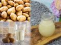 Potato's Milk : बटाट्याचं दूध घरीही करता येतं, वनस्पतीजन्य दुधाचा नवा वेगळा परवडणारा प्रकार - Marathi News | Potato's Milk: Potato Milk Can Be Made At Home, A New Affordable Type Of Vegetable Milk | Latest sakhi News at Lokmat.com