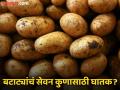 'या' 6 समस्या असलेल्या लोकांनी चुकूनही खाऊ नये बटाटे, आरोग्याचं होऊ शकतं गंभीर नुकसान! - Marathi News | These 6 people should stay away from potato | Latest health Photos at Lokmat.com