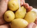५ दिवस खा केवळ बटाटे, वजन कमी करण्यास होईल फायदा! - Marathi News | 5 day potato diet will help you lose weight | Latest health News at Lokmat.com