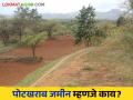 Potkharab Jamin : पोटखराब जमीन नोंद दुरुस्ती कशी करावी? वाचा सविस्तर - Marathi News | Potkharab Jamin : How to amend potkharab land record? Read in detail | Latest agriculture News at Lokmat.com