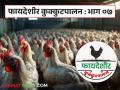 Poultry Farming : पोल्ट्री व्यवसायासाठी आवश्यक गरजा कोणत्या? त्या महत्वाच्या का? वाचा सविस्तर - Marathi News | Latest News Poultry farming essential requirements for poultry business see details | Latest agriculture News at Lokmat.com