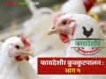 Poultry Farming : कुक्कुटपालन व्यवसायात कमी गुंतवणुकीत जास्त उत्पन्न मिळतं, जाणून घ्या सविस्तर - Marathi News | Latest news Kukkutpalan Poultry farming is business that gives high returns with low investment | Latest agriculture News at Lokmat.com