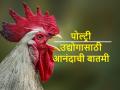 पुढील वर्षी देशातील पोल्ट्री उद्योग ८ ते १० टक्क्यांनी वाढणार - Marathi News | expectation of 8-10% revenue growth for the domestic poultry industry in FY2024 | Latest agriculture News at Lokmat.com