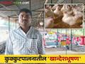 Poultry Success Story : कुक्कुटपालनातील खान्देशभूषण; कोंबडी पालनात 'या' पद्धतीचा वापर करत वार्षिक लाखोंची उलाढाल - Marathi News | Poultry Success Story : Khandeshbhushan in Poultry Farming; Annual turnover of lakhs using 'this' method in poultry farming | Latest agriculture News at Lokmat.com