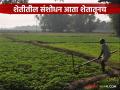 Agriculture News : प्रयोगशील शेतकऱ्यांना आता 'कृषी संशोधक' पदवी वाचा सविस्तर - Marathi News | latest news Agriculture News: Experimental farmers can now get the title of 'Agricultural Researcher' Read in detail | Latest agriculture News at Lokmat.com