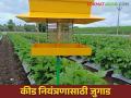 Light Trap : कीड नियंत्रणासाठी फवारणी ऐवजी करा ह्या सापळ्यांचा वापर - Marathi News | Light Trap: Use these traps instead of spraying for pest control | Latest agriculture News at Lokmat.com